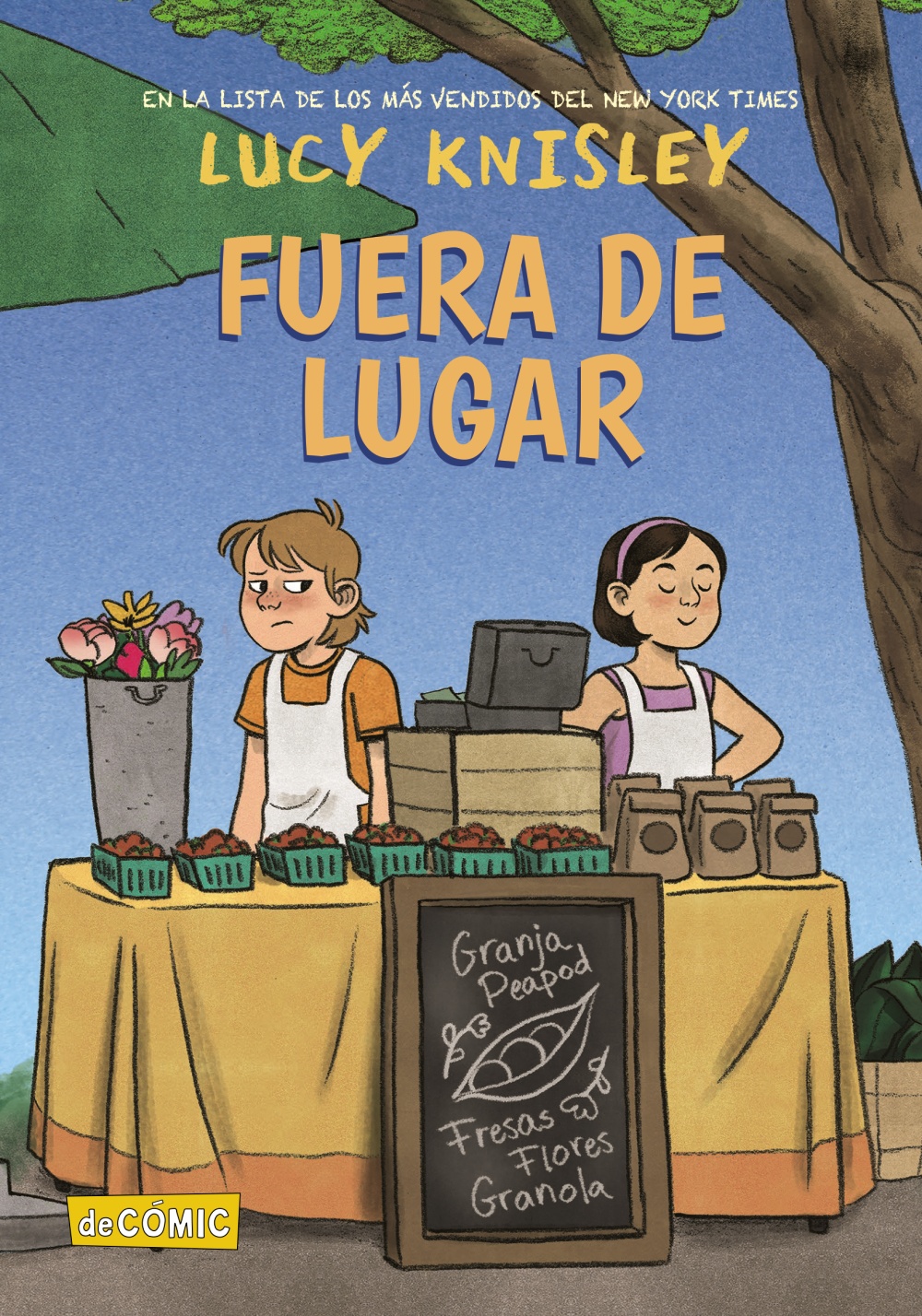 Fuera de lugar Anaya Infantil y juvenil